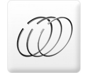 Piston ring